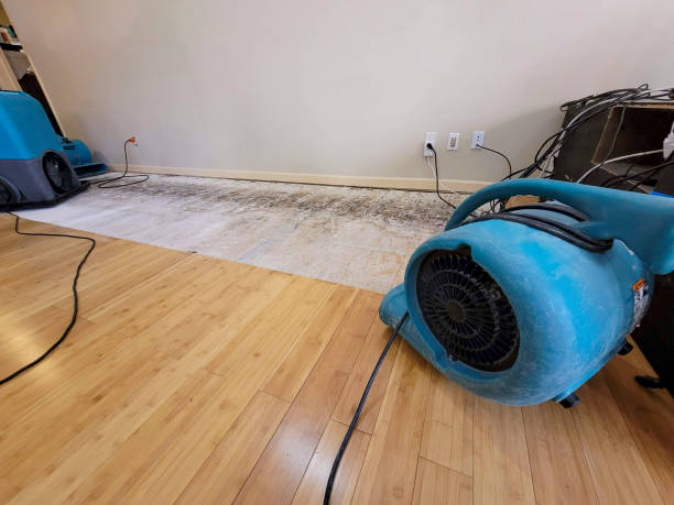 Professional Sewage Cleanup technician working in Roberts, WI